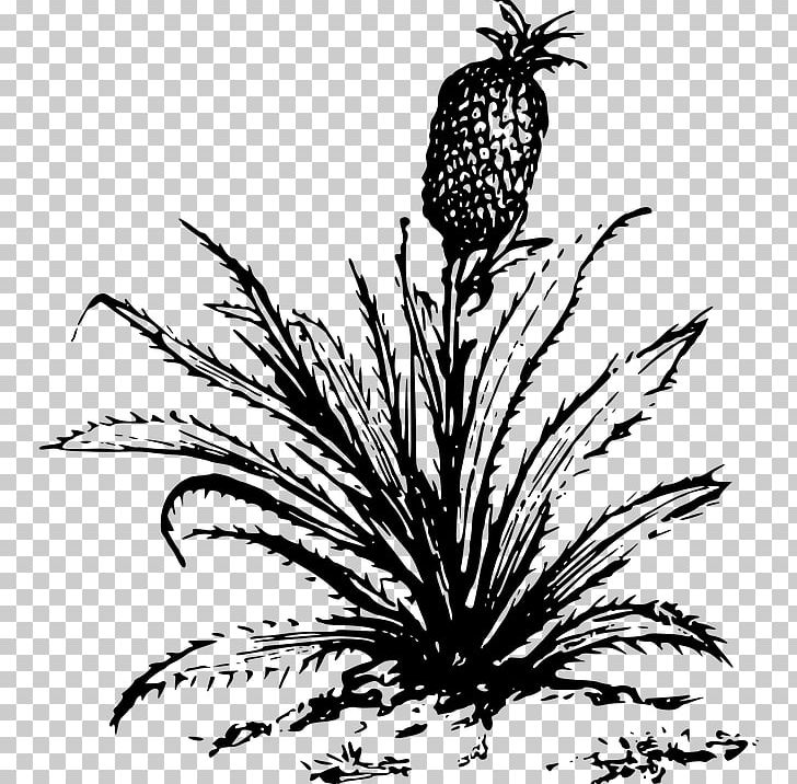Pineapple Desktop PNG, Clipart, Black And White, Branch, Commodity, Computer Icons, Desktop Wallpaper Free PNG Download