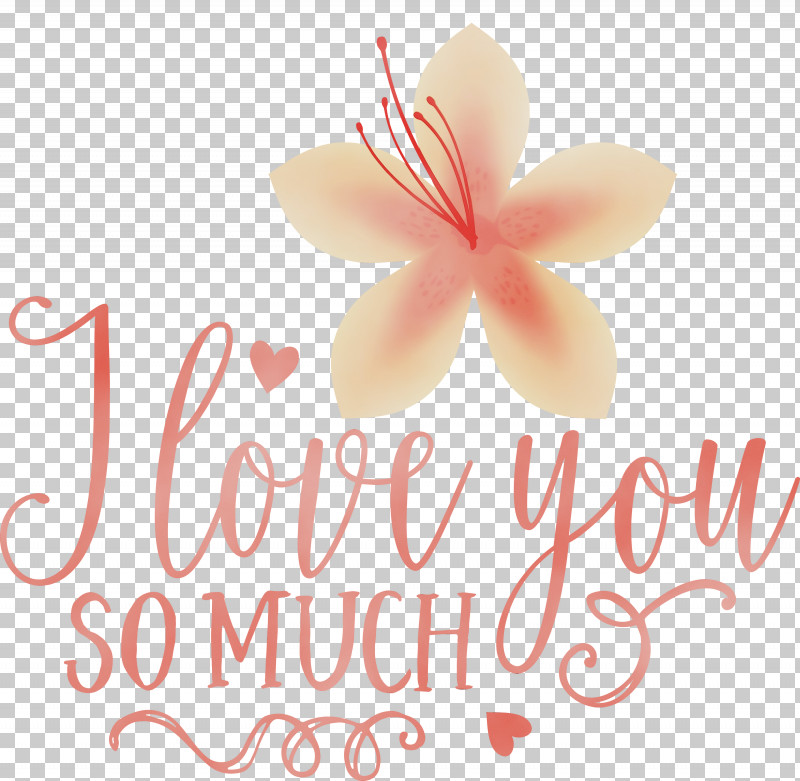 Cut Flowers Petal Flower Meter Font PNG, Clipart, Biology, Cut Flowers, Flower, I Love You So Much, Meter Free PNG Download