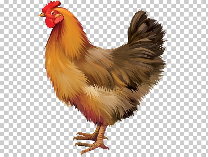 Chicken Adobe Illustrator Illustration PNG, Clipart, 2017 Big Cock, Animal, Animals, Badminton Shuttle Cock, Beak Free PNG Download