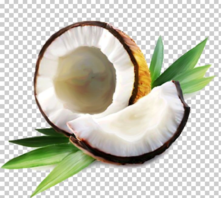 Coconut Water Coconut Oil Coconut Milk PNG, Clipart, Coconut, Coconut Cream, Coconut Milk, Coconut Milk Powder, Coconut Oil Free PNG Download