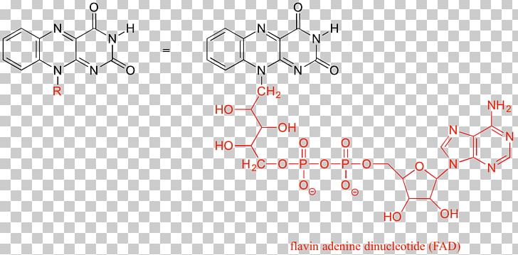 Coordination Complex Aditanar College Of Arts And Science Chemistry Chelation PNG, Clipart, Angle, Area, Chelation, Chemistry, Chloride Free PNG Download