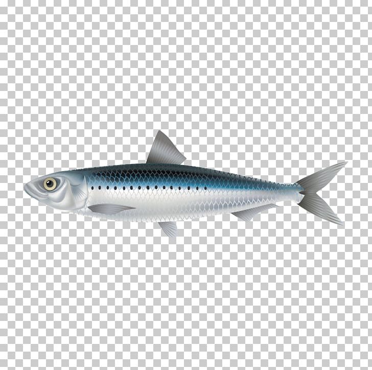Sardine Crucian Carp Fish Mackerel PNG, Clipart, Animals, Aquarium Fish, Aquatic, Aquatic Product, Bony Fish Free PNG Download