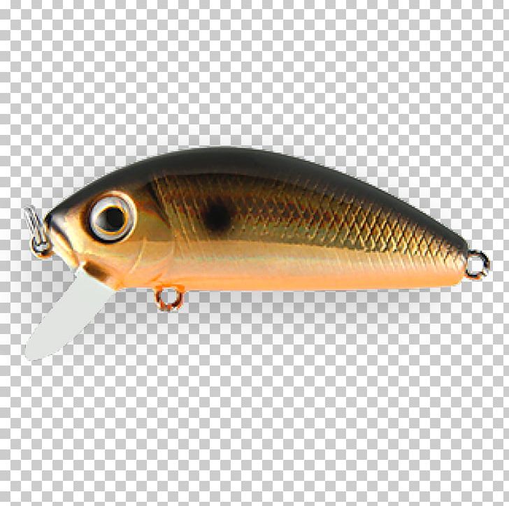 Spoon Lure Perch Fish AC Power Plugs And Sockets PNG, Clipart, Ac Power Plugs And Sockets, Bait, Fish, Fishing Bait, Fishing Lure Free PNG Download