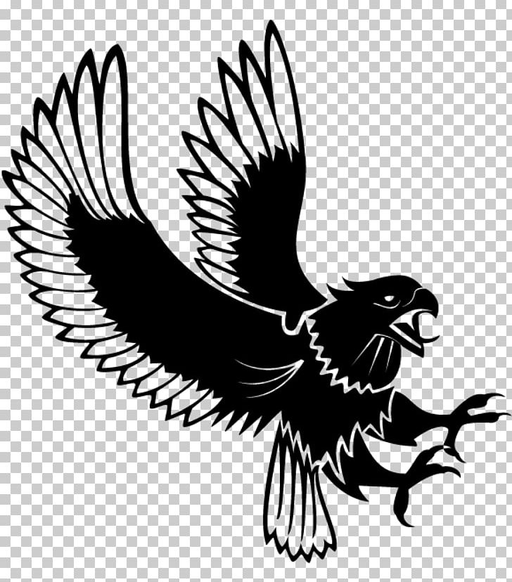 Bald Eagle PNG, Clipart, Animals, Bald Eagle, Beak, Bird, Bird Of Prey Free PNG Download