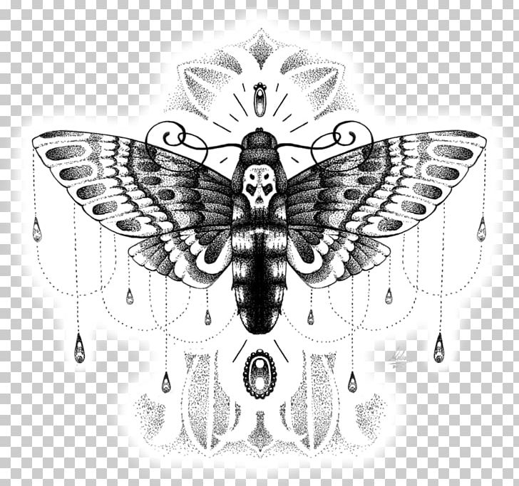 Butterfly African Death's Head Hawkmoth Insect Hawk Moths PNG, Clipart,  Free PNG Download