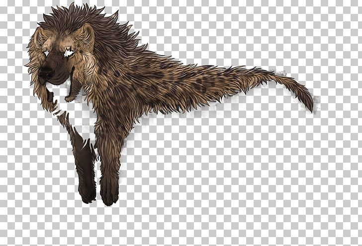 Striped Hyena Cat Fur Lion PNG, Clipart, Animal, Animals, Carnivora, Carnivoran, Cat Free PNG Download