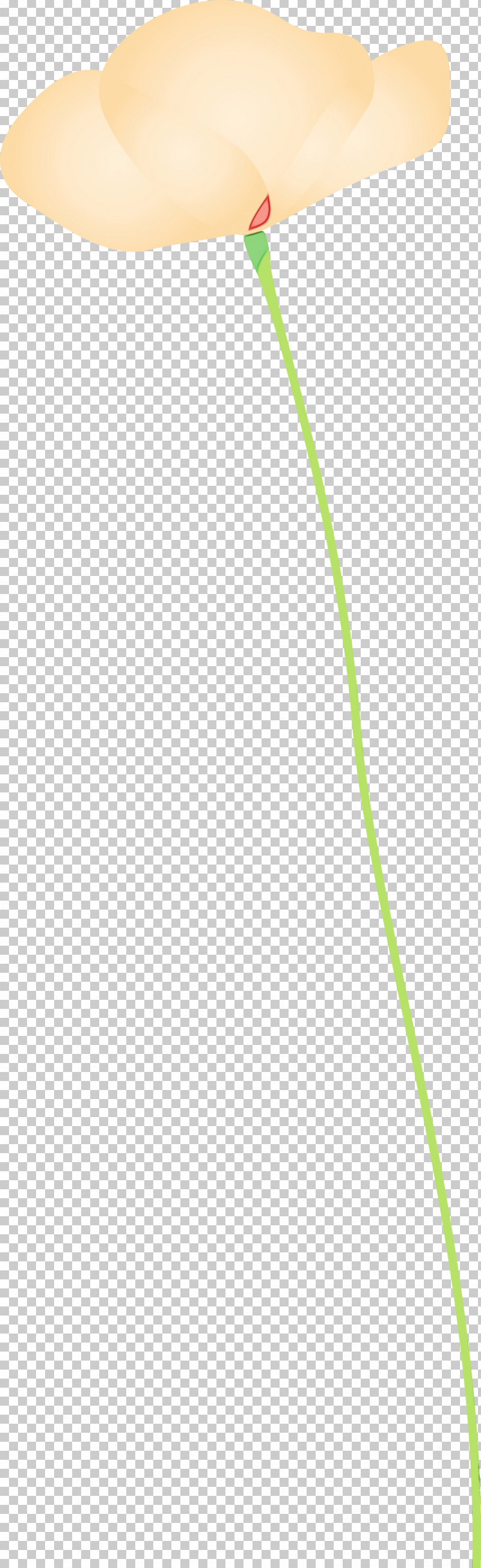 Green Line Leaf Grass Family Plant PNG, Clipart, Grass, Grass Family, Green, Leaf, Line Free PNG Download