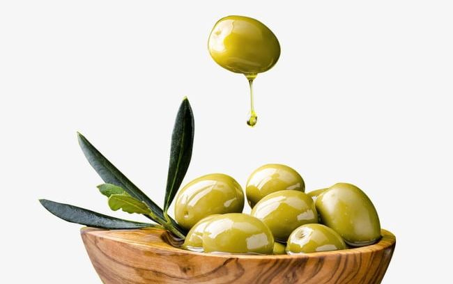 Olive Oil PNG, Clipart, Branch, Oil, Oil Clipart, Olive, Olive Branch Free PNG Download