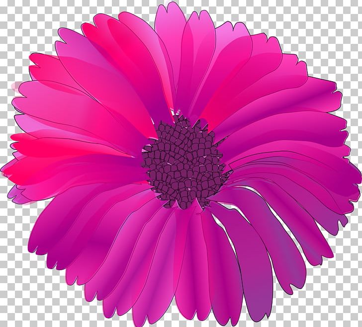 Pink Flowers PNG, Clipart, Annual Plant, Aster, Chrysanths, Cut Flowers, Daisy Family Free PNG Download