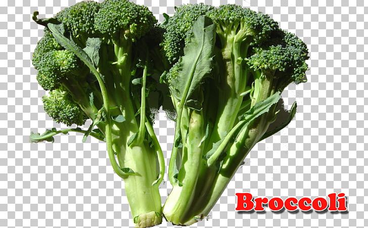 Broccoli Dairy Products Milk Food Calcium PNG, Clipart, Bone, Broccoli, Calcium, Calcium Fluoride, Chard Free PNG Download