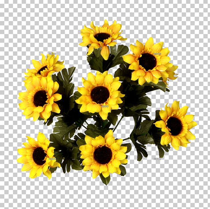 Common Sunflower Floral Design Cut Flowers Flower Bouquet PNG, Clipart, Annual Plant, Common Sunflower, Cut Flowers, Daisy Family, Deko Free PNG Download