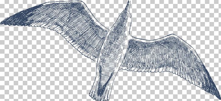 Drawing Bird PNG, Clipart, Angle, Animal Figure, Animals, Artwork, Beak Free PNG Download