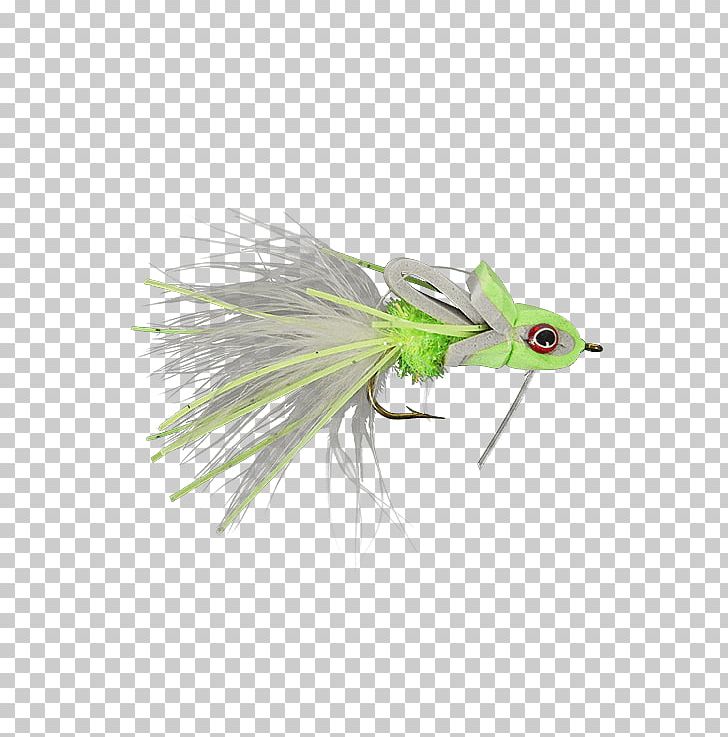 Artificial Fly Holly Flies Chartreuse Striped Bass Stock Keeping Unit PNG, Clipart, Artificial Fly, Bluefish, Chartreuse, Email, Feather Free PNG Download
