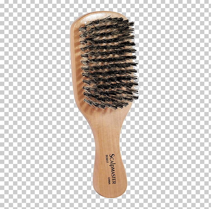 Comb Hairbrush Bristle PNG, Clipart, Animals, Barber, Beard, Beauty Parlour, Boar Free PNG Download
