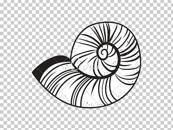 Drawing PNG, Clipart, Area, Black And White, Circle, Conch, Drawing Free PNG Download