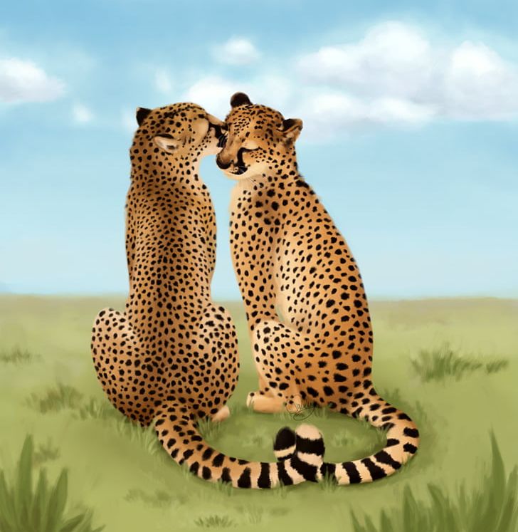 King Cheetah Cat Leopard Valentine's Day PNG, Clipart, Animal, Animals, Big Cat, Big Cats, Carnivora Free PNG Download