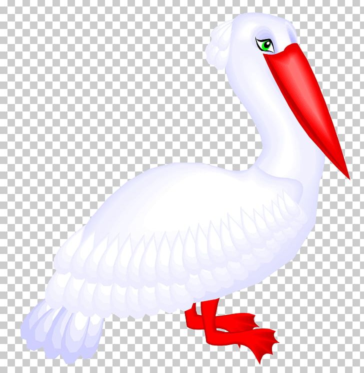 Windows Metafile Pelican PNG, Clipart, Animal Figure, Animals, Beak, Bird, Bird Art Free PNG Download