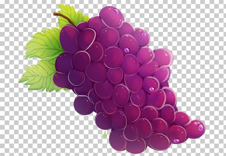 Grape Seed Extract Seedless Fruit Berry PNG, Clipart, Auglis, Berry, Food, Fruit, Fruit Nut Free PNG Download