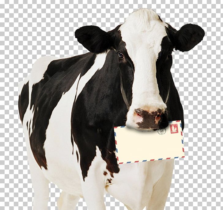 Holstein Friesian Cattle Highland Cattle Standee Dairy Cattle Paperboard PNG, Clipart, Art, Calf, Cardboard, Cattle, Cattle Like Mammal Free PNG Download