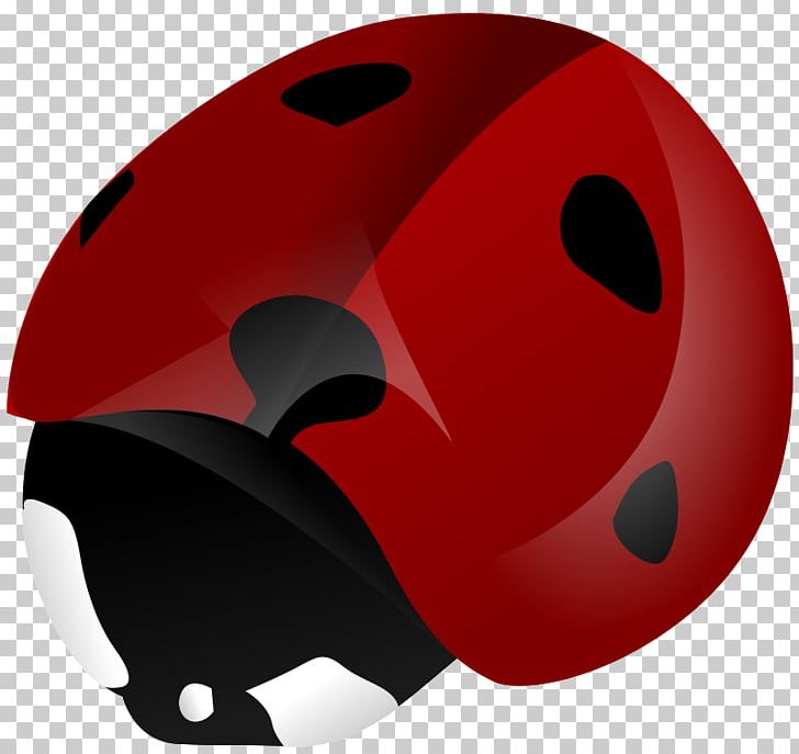 Ladybird Beetle PNG, Clipart, Animals, Baseball Equipment, Baseball Protective Gear, Beetle, Bicycle Clothing Free PNG Download