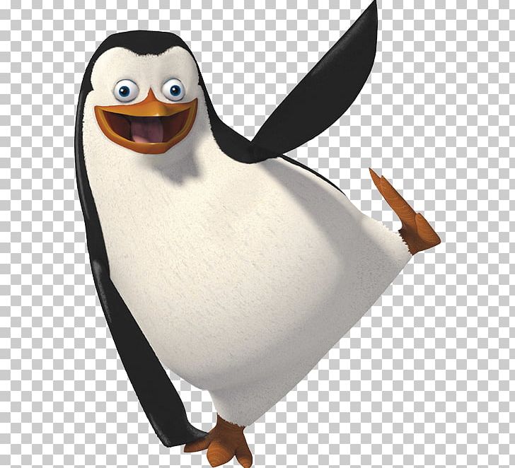Penguin PNG, Clipart, Beak, Bird, Computer Icons, Desktop Wallpaper, Download Free PNG Download