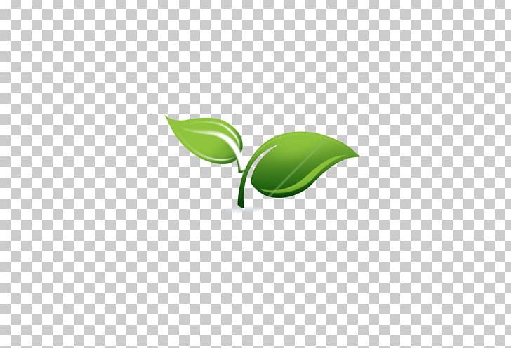 Spring Framework Spring & Sprout Support Services PNG, Clipart, Application Server, Computer Icons, Computer Programming, Computer Wallpaper, Enterprise Javabeans Free PNG Download