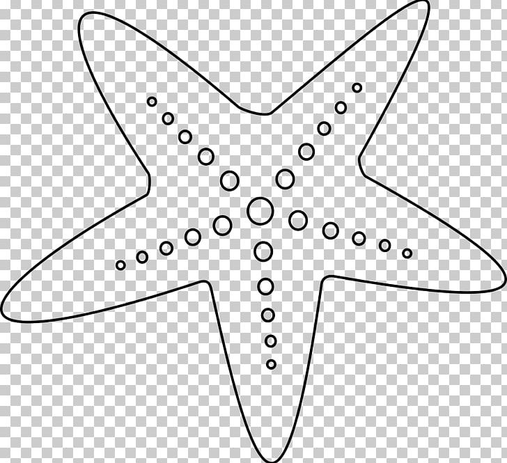 Starfish PNG, Clipart, Angle, Animals, Area, Artwork, Black Free PNG Download