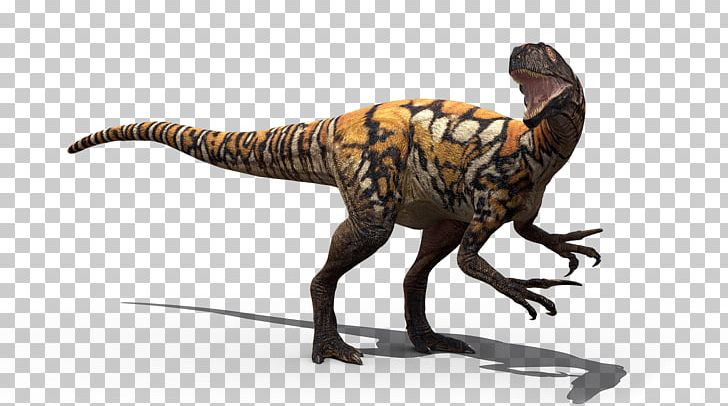 Tyrannosaurus Australovenator Velociraptor Australian Age Of Dinosaurs Muttaburrasaurus PNG, Clipart, Australian Age Of Dinosaurs, Australovenator, Coelurosauria, Dinosaur, Dinosaur Size Free PNG Download
