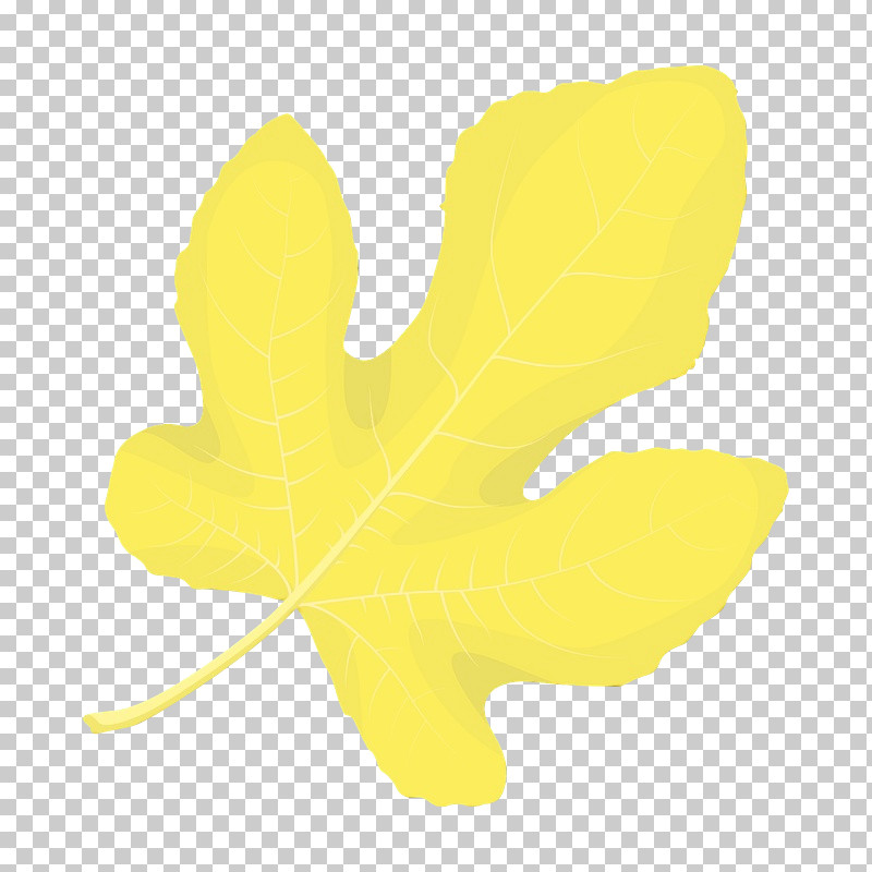 Leaf Yellow Petal Plant Structure Plant PNG, Clipart, Biology, Leaf, Paint, Petal, Plant Free PNG Download