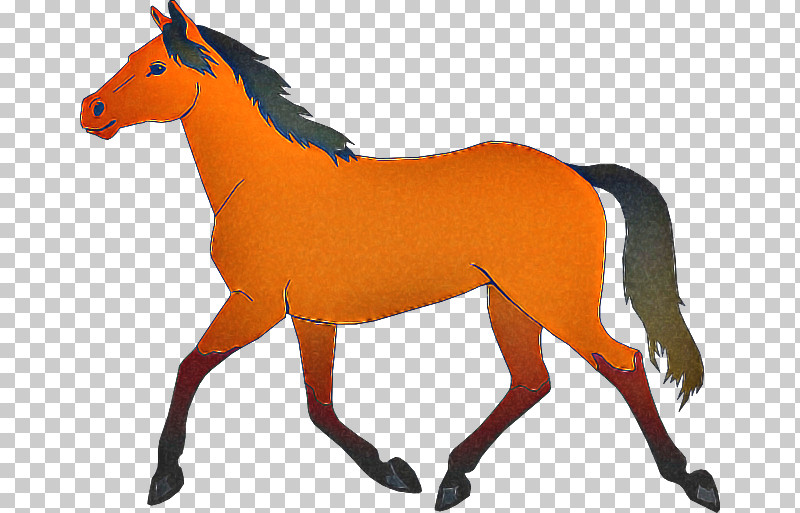 Orange PNG, Clipart, Animal Figure, Foal, Horse, Mane, Mare Free PNG Download