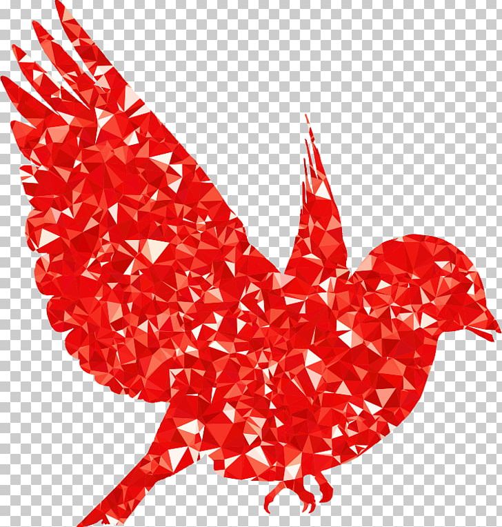 Heart Chicken Others PNG, Clipart, Bird, Blog, Chicken, Clip Art, Computer Icons Free PNG Download