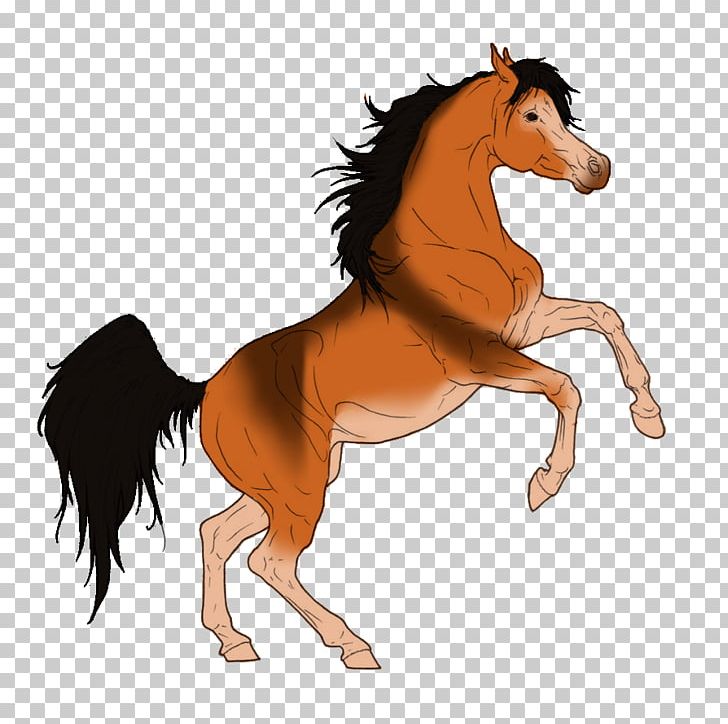 Foal Mane Stallion Mare Colt PNG, Clipart, Cartoon, Colt, Fauna, Fictional Character, Foal Free PNG Download