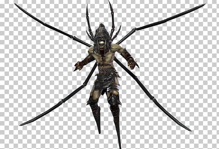 Hunted The Demon S Forge Wiki Png Clipart Arthropod Creatures Demon Fantasy Forge Free Png Download