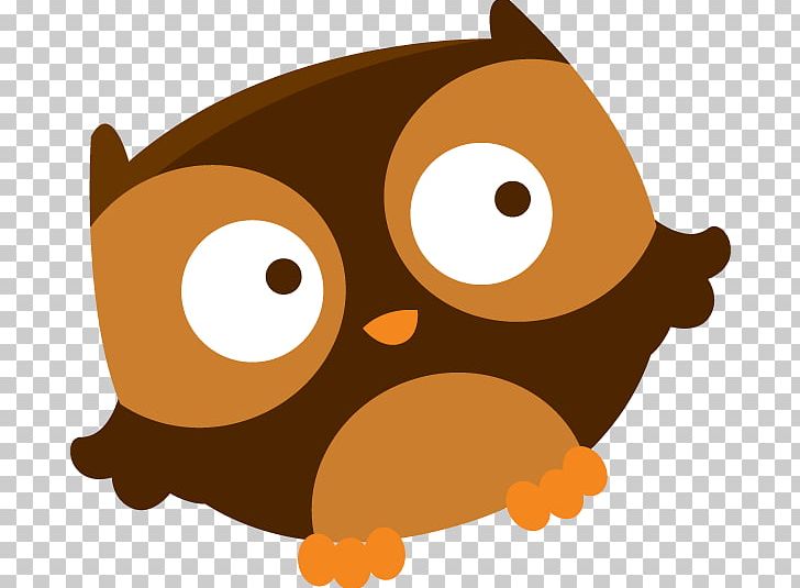 Owl Whiskers Bird Drawing PNG, Clipart, Animal, Animals, Barn Owl, Beak, Bird Free PNG Download