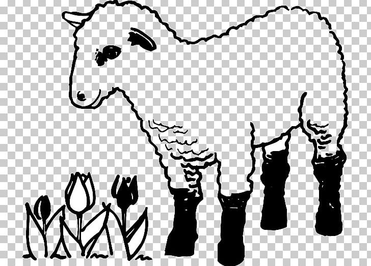 Sheep Colouring Pages Coloring Book Lamb And Mutton Goat PNG, Clipart, Agriculture, Animals, Black, Carnivoran, Cartoon Free PNG Download