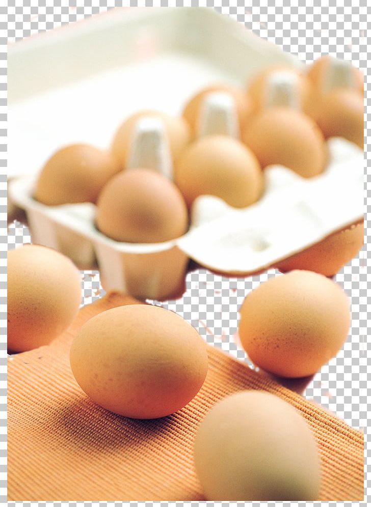 Boiled Egg Egg Carton PNG, Clipart, Boiled Egg, Box, Boxes, Boxing, Box Of Eggs Free PNG Download