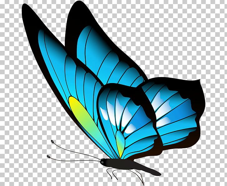 Butterfly PNG, Clipart, Art, Brush Footed Butterfly, Butterflies And Moths, Butterfly, Download Free PNG Download
