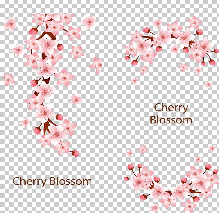 Cherry Blossom Adobe Illustrator PNG, Clipart, Blossom, Blossoms, Cherry, Cherry Blossom Festival, Design Free PNG Download