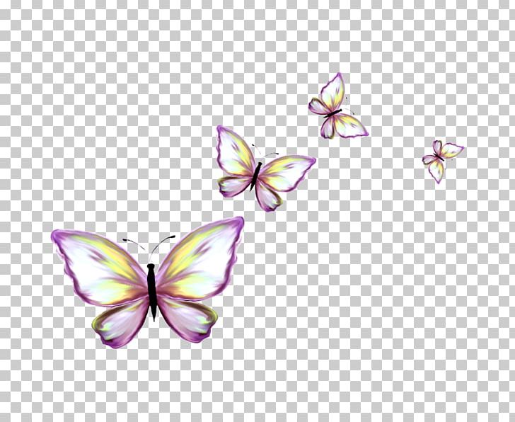 Monarch Butterfly PNG, Clipart, Adobe Illustrator, Animal, Brush Footed Butterfly, Butterflies, Butterfly Group Free PNG Download