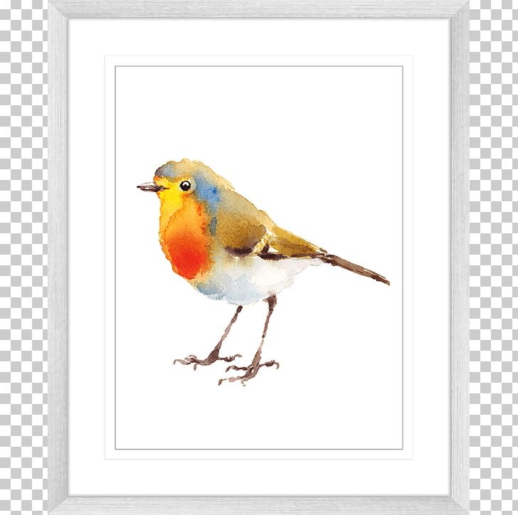 Watercolor Painting European Robin Drawing PNG, Clipart, Art, Beak, Bird, Birds Frame, Drawing Free PNG Download