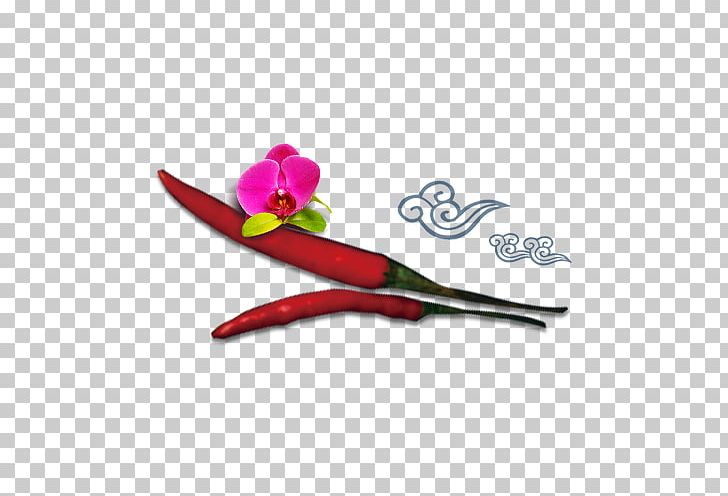 Bell Pepper Chili Pepper Cayenne Pepper Pickled Cucumber PNG, Clipart, Bell Pepper, Black Pepper, Capsicum, Capsicum Annuum, Cayenne Pepper Free PNG Download