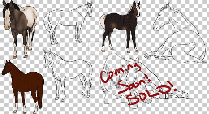 Mule Foal Stallion Mare Colt PNG, Clipart, Animal Figure, Bridle, Camel, Camel Like Mammal, Colt Free PNG Download