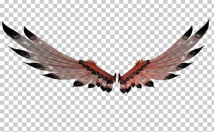 Feather Beak PNG, Clipart, Angel Wings, Animals, Beak, Bird, Deviantart Free PNG Download