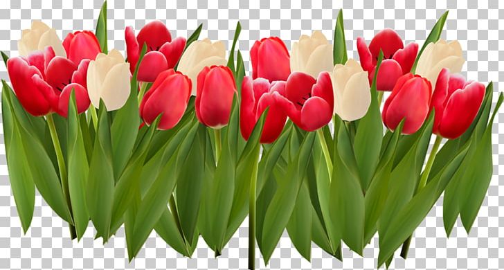 Stock Illustration Illustration PNG, Clipart, Cut Flowers, Encapsulated Postscript, Flower, Flower Arranging, Flowers Free PNG Download