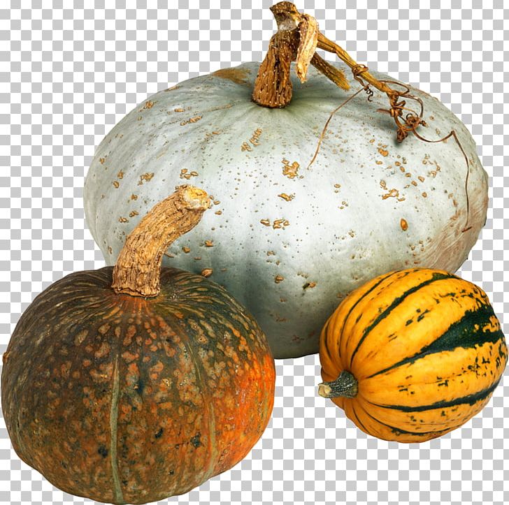 Cucurbita Maxima Pumpkin Vegetable Winter Squash Food PNG, Clipart, Calabaza, Commodity, Cucumber Gourd And Melon Family, Cucurbita, Cucurbita Maxima Free PNG Download