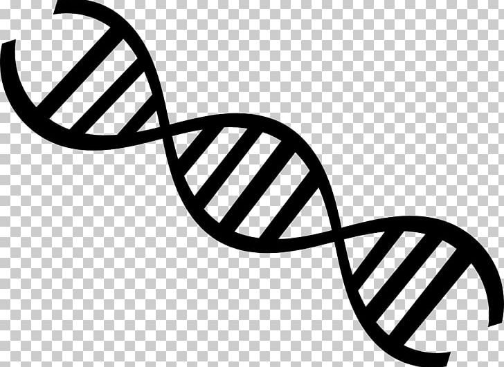 DNA Nucleic Acid Double Helix Genetics PNG, Clipart, Angle, Area, Artwork, Biology, Black And White Free PNG Download