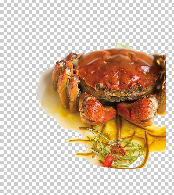 Dungeness Crab Seafood Charybdis Flower Crab PNG, Clipart, Animals, Animal Source Foods, Cartoon Crab, Charybdis, Chinese Mitten Crab Free PNG Download