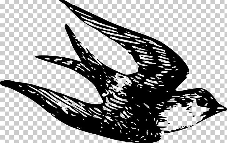 Swallow Sparrow PNG, Clipart, Barn Swallow, Black And White, Download, Drawing, Free Content Free PNG Download