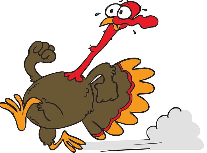 Thanksgiving Day CrossFit Physical Exercise Physical Fitness PNG, Clipart, Artwork, Beak, Bird, Black Friday, Cartoon Free PNG Download