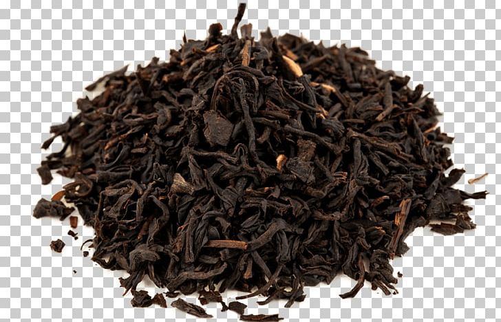 Earl Grey Tea Darjeeling Tea Green Tea Oolong PNG, Clipart, Assam Tea, Bancha, Black Tea, Camellia Sinensis, Ceylon Tea Free PNG Download